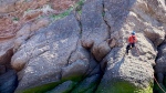 A person scales the Hopewell Rocks. (Source: Alana Pickrell/CTV News Atlantic) 