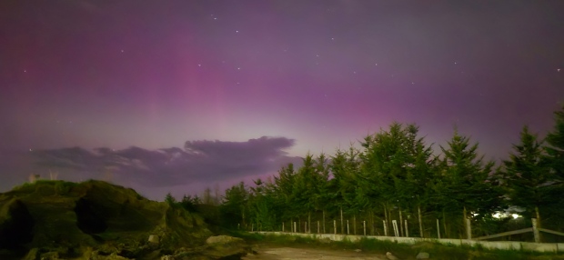 The northern lights seen in Walkerton Ont. using a 360 camera. (Submitted/Chadwick Price)