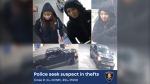 Theft suspect and suspect vehicle in Windsor, Ont. (Source:Windsor police)
