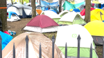 An encampment of around 70 tents sits on Tabaret Lawn. May 13, 2024 (Sam Houpt/CTV News)
