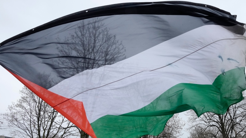 A Palestinian flag is waved during a protest at McGill University. (LA PRESSE CANADIENNE/Ryan Remiorz)