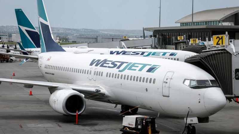 WestJet passenger jets parked at departure gates at the Calgary International Airport on Wednesday, May 31, 2023.THE CANADIAN PRESS/Jeff McIntosh