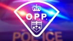 The Ontario Provincial Police logo is seen in this file photo.