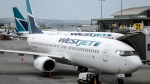 WestJet passenger jets parked at departure gates at the Calgary International Airport on Wednesday, May 31, 2023.THE CANADIAN PRESS/Jeff McIntosh