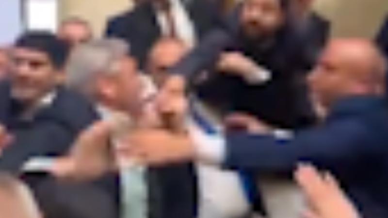 Lawmakers in Georgia brawl in parliament 