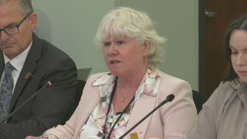 Kim Barro, Nova Scotia's associate deputy health minister, speaks to the legislature's health committee about the province's virtual care on May 14, 2024. 