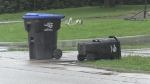 Carts at the curb for collection in Simcoe County. (CTV News/Rob Cooper)