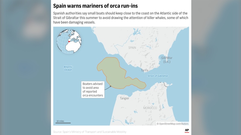 Recent episodes of orcas damaging boats near the Strait of Gibraltar have prompted Spanish authorities to recommend that small vessels stick to coastal areas where encounters are less likely. (AP Graphic)