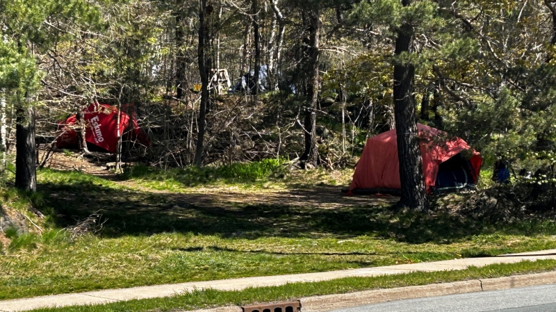 Tents in the woods are pictured. (Source: Jonathan MacInnis/CTV News Atlantic)