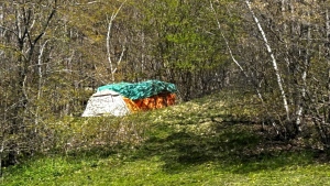 A tent in the woods is pictured. (Source: Jonathan MacInnis/CTV News Atlantic)