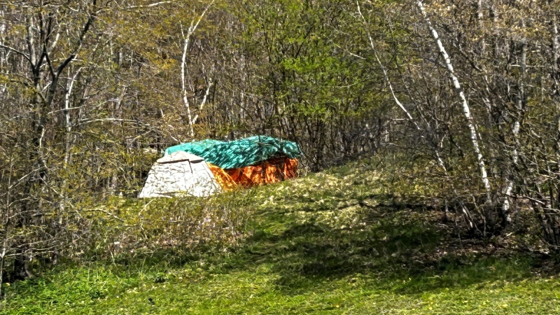A tent in the woods is pictured. (Jonathan MacInnis/CTV Atlantic)