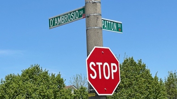 A street sign for D'Ambrosio Drive and Patton Drive in Barrie, Ont. (CTV News/Mike Lang)