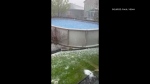 hail pool