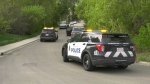 Police are looking for two women, a man, and a black Ford Fusion sedan after a road rage incident in Edmonton on May 17, 2024. (Matt Marshall/CTV News Edmonton)