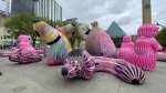 "Lost Dogs Disco" by Sydney-based design studio ENESS in Sir Winston Churchill Square for Downtown Spark 2024. (Galen McDougall/CTV News Edmonton)