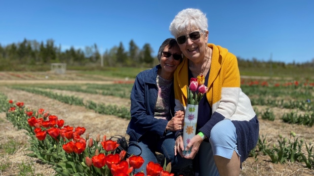 Two women hold flowers at the Tulip Festival. (Source: Alana Pickrell/CTV News Atlantic)