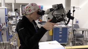 Dr. Kathryn Sawa working in an operating room at Cambridge Memorial Hospital on May 17, 2024. (Colton Wiens/CTV Kitchener)