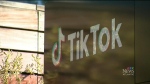 Trudeau urges Canadians to reconsider using TikTok