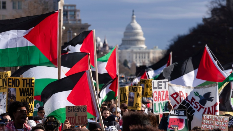  Demonstrators rally during the March on Washington for Gaza at Freedom Plaza in Washington, Jan. 13, 2024.  (AP Photo/Jose Luis Magana, File)
