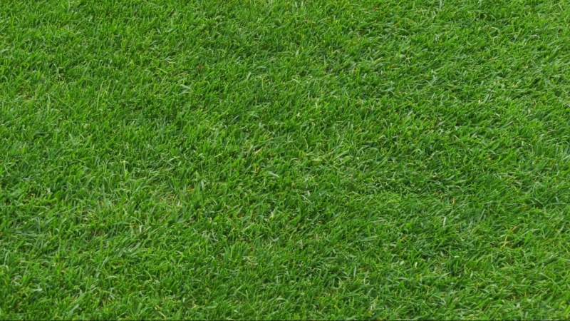 The pristine green grass at Stade Saputo in Montreal. 