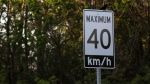 An undated file photo of a 40km/h maximum speed sign in Ontario. (CTV News)