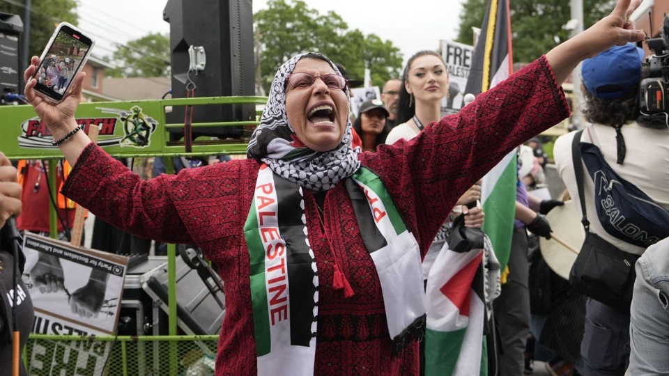 Pro-Palestinian supporter