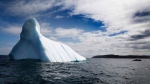 CTV National News: Shrinking icebergs in N.L. 