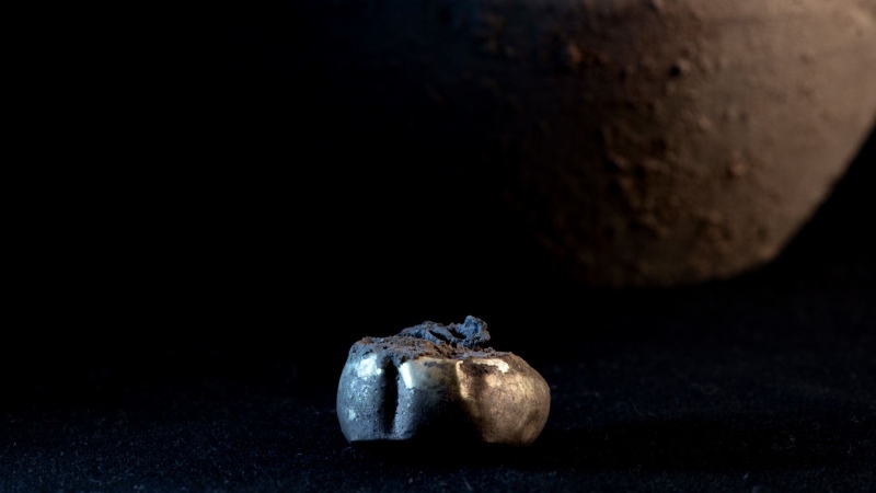 Archaeologists found a gold earring hidden inside a jar that had been placed in a wall at the Iron Age settlement called Tossal de Baltarga. (Marco Ansaloni / CNN Newsource)