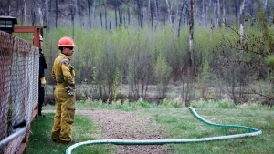 A firefighters monitors a wildfire sprinkler hose on May 16, 2024, in the evacuated neighbourhood of Grayling Terrace in Fort McMurray, Alta. (Jeff McIntosh/The Canadian Press)