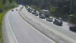 A webcam at Daisy Lake Road, 26 kilometres south of Whistler, B.C., looking south at 4:12 p.m. on Monday, May 20, 2024. (DriveBC)