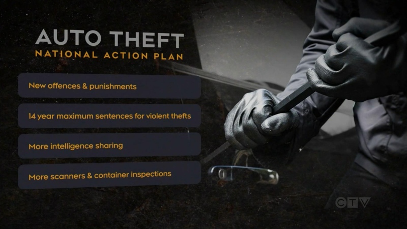 Auto theft action plan
