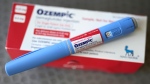 The injectable drug Ozempic is shown Saturday, July 1, 2023, in Houston. (AP Photo/David J. Phillip, File)