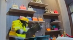 Huge heist sees thieves take US$2M of Hermes bags