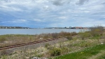 The section of abandoned rail line along Kings Road in Sydney, N.S. (Source: Ryan MacDonald/CTV News Atlantic) 