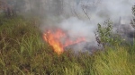 Northern Ont. wildfire season underway