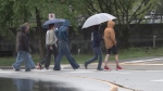 Pouring rain hits Metro Vancouver 