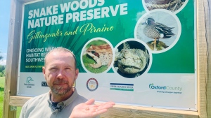 Species At Risk Biologist with the Upper Thames River Conservation Authority, Scott Gillingwater, seen holding rare snail shell at the Snake Woods Nature Preserve on Tuesday, May 22, 2024. (Reta Ismail/CTV News London) 