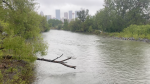 Rain falls on the Bow River in Calgary, Alta. on May 22, 2024. (CTV News) 