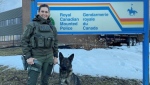 Cpl. Annick Theriault and her police service dog Reba are pictured. (Source: RCMP)