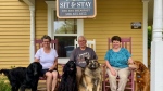 Kathy Toner, Rick Salisko, and Jill Coady are pictured with dogs. (Source: Alana Pickrell/CTV News Atlantic)