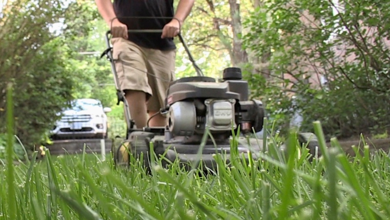 A gas powered lawn mower is seen on London, Ont. on May 22, 2024. (Daryl Newcombe/CTV News London) 