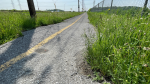 Cyclists are calling on the city to repair a path along Greenbank Road between Fallowfield and Hunt Club, but the land is partially owned by the federal government and the city is working on a construction schedule. (Peter Szperling/CTV News Ottawa)