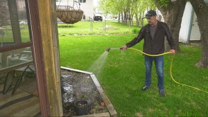 Niverville resident Trevor Laurie waters his lawn on May 22, 2024. (Jeff Keele/CTV News Winnipeg)