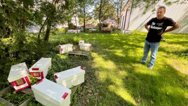 Sun Parlor Honey co-owner Tom Congdon in Cottom, Ont., on Thursday, May 23, 2024. (Chris Campbell/CTV News Windsor)