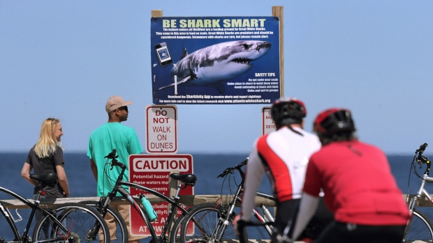 FILE - In this May 22, 2019 file photo, a couple stands next to a shark warning sign while looking at the ocean at Lecount Hollow Beach in Wellfleet, Mass. Cape Cod is slowly embracing its shark reputation, three summers after the popular vacation destination saw its first great white shark attacks in generations. (AP Photo/Charles Krupa, File)