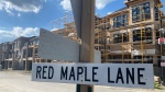 Red Maple Lane in the south east end of Barrie, Ont. (CTV News/Mike Arsalides)