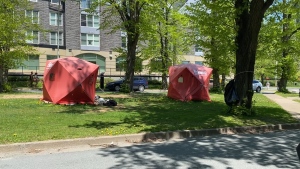 Tents are seen set up in the tent encampment on University Avenue in Halifax on May 23, 2024. 
