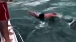 Man tries to 'body slam' an orca whale