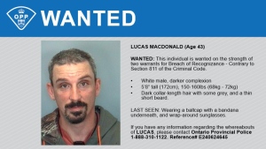 Lucas MacDonald is 5-foot-8, with dark collar-length hair with some grey and a thin short beard. When last seen, he was wearing a ball cap with a bandana underneath it and wrap-around sunglasses. (OPP photo)