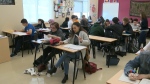 Calls for a teacher recruitment plan in N.B. 